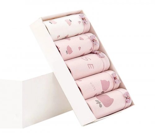 5Pcs/Set Women's Panties Cotton Breathable Fashion Underwear Seamless Cute Bow Print Young Girls Briefs Sexy Female Lingerie